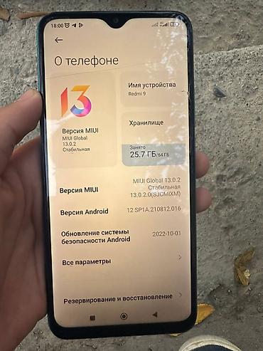 ps4 fifa: Redmi, Redmi 9, Б/у, 64 ГБ, цвет - Голубой, 2 SIM — 4