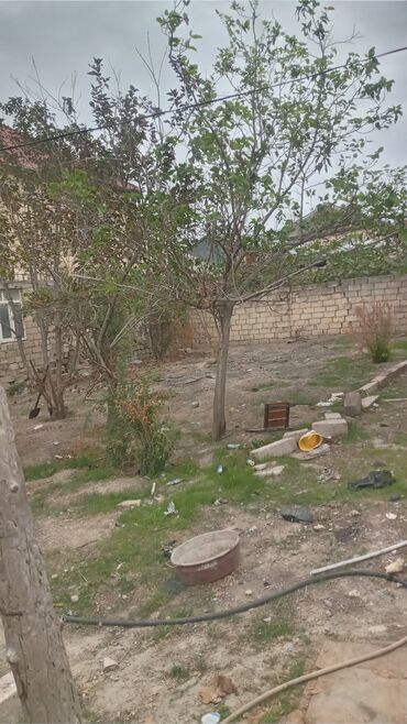 Torpaq sahələrinin satışı: 2 sot, Tikinti, Mülkiyyətçi, Kupça (Çıxarış) -da lalafo.az — 5 Torpaq sahələrinin satışı: 2 sot, Tikinti, Mülkiyyətçi, Kupça (Çıxarış) — 5