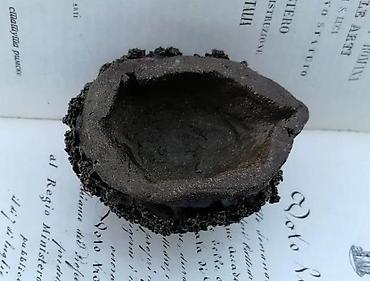 Figure: JEŽ vintage umetnička keramika. Umetnička keramika. Dimenzije cca: 8 x — 6