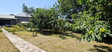 Torpaq sahələrinin satışı: 12 sot, Tikinti, Makler, Kupça (Çıxarış) — 25