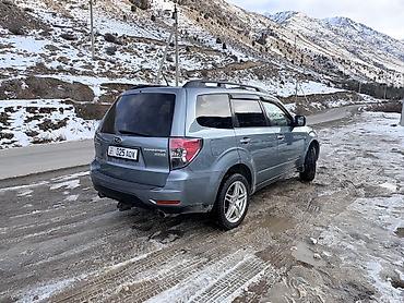 Subaru: Subaru Forester: 2010 г., 2.5 л, Автомат, Бензин, Кроссовер — 7