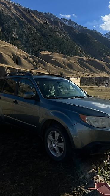 Subaru: Subaru Forester: 2010 г., 2.5 л, Бензин, Кроссовер — 5
