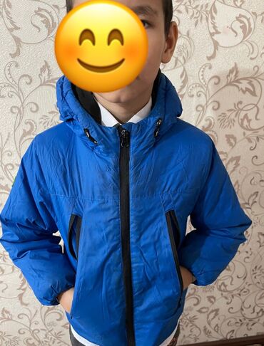 50 размер мужской одежды параметры: Куртка цвет - Синий
