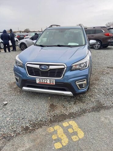 Subaru: СРОЧНО ПРОДАЮ ❗️ Subaru Forester свет синий. свежо пригнанный