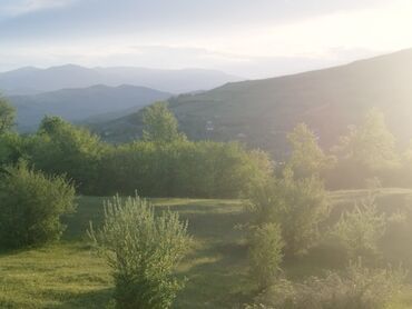 qaxda findiq bagi satilir: 67 sot, Kənd təsərrüfatı, Kupça (Çıxarış)