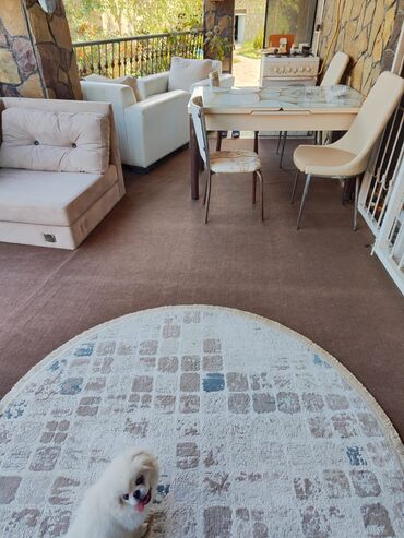 Həyət evləri və villaların satışı: 6 otaqlı, 350 kv. m — 10