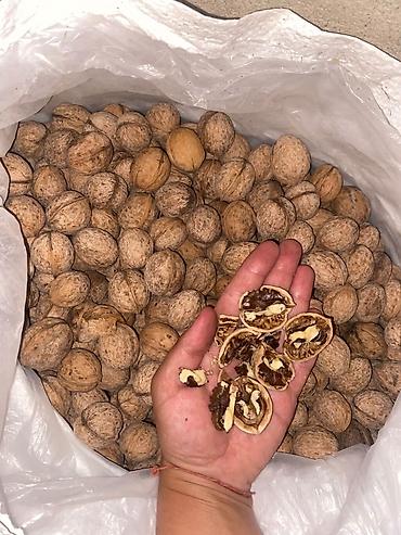 кап орех: Грецкий орех в скорлупе свежие вкусные натуральные грецкие орехи — 2
