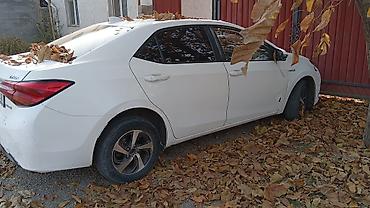 Сдаю Toyota Corolla, Долгосрочно, Без водителя at lalafo.kg Сдаю Toyota Corolla, Долгосрочно, Без водителя