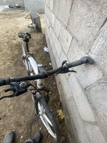 Горные велосипеды: Горный велосипед, Рама M (156 - 178 см), Сталь — 3