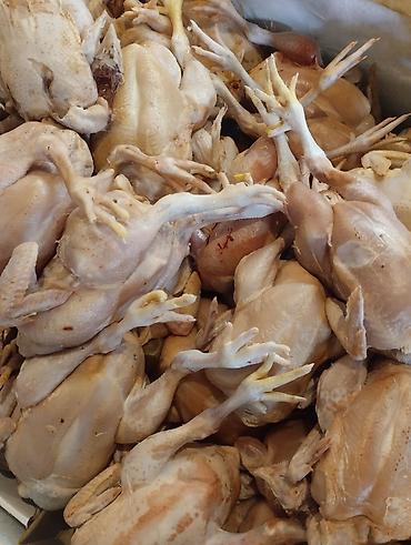тростниковый сахар купить: КУПИТЬ ОПТОМ ТУШКИ БРОЙЛЕРОВ с головой и лапкоми без внутренности по — 1