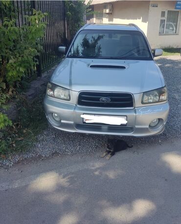 Subaru: Subaru Forester: 2004 г., 2.5 л, Автомат, Бензин