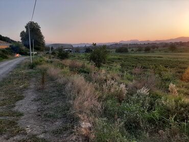 gədəbəydə torpaq satılır: 86 sot, Biznes üçün, Mülkiyyətçi, Kupça (Çıxarış)