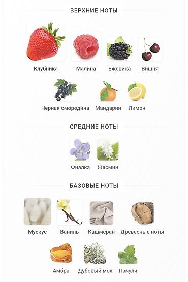 ester lauder: Самый благородный аромат в мире, словно прогулка в солнечный день по — 2