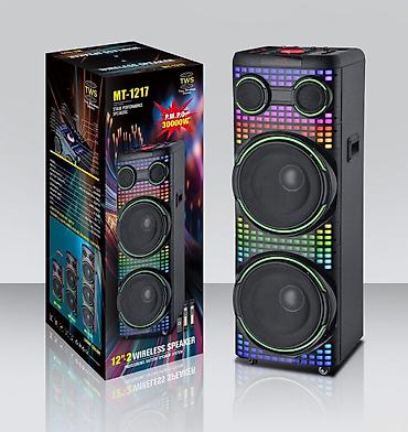 Dinamiklər və kolonkalar: Dinamik MT-1217 Kalonka MT-1217 Speaker MT-1217 modeli əsasən yüksək — 2