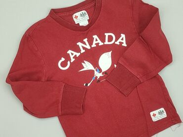 terranova bluzki: Sweatshirt, 2-3 years, 92-98 cm, condition - Good