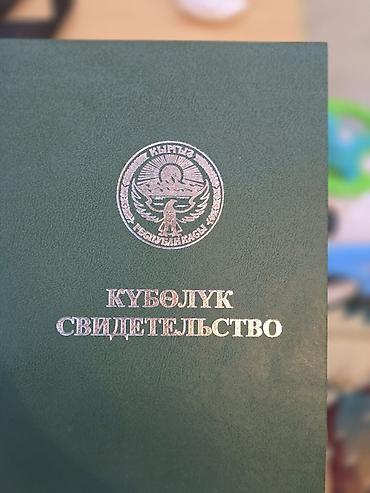 пруд токмок: 315 соток, Для сельского хозяйства, Договор долевого участия, Тех паспорт — 1
