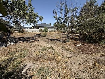 Продажа коттеджей и домов: 6 комнат и более, 150 м², 16 соток, Тынчтык, Собственник — 12