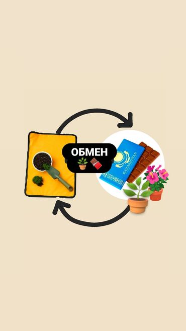 купить видеокарту в бишкеке бу: ПРОДАЮ ИЛИ ОБМЕНЯЮ📍 Коврик для пересадки растений 🌱 ❗Рассматриваю