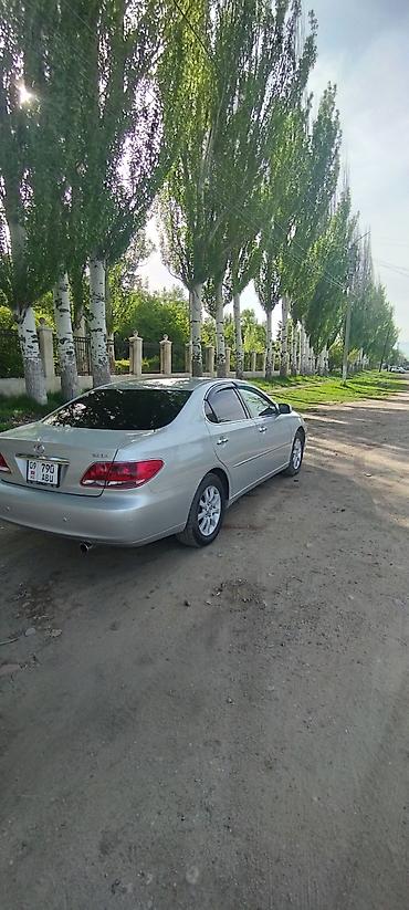 Lexus: Lexus ES: 2005 г., 3.3 л, Автомат, Бензин, Седан — 4