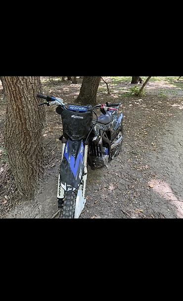 Мотоциклы: Эндуро Yamaha, 300 куб. см, Бензин, Взрослый, Новый — 3