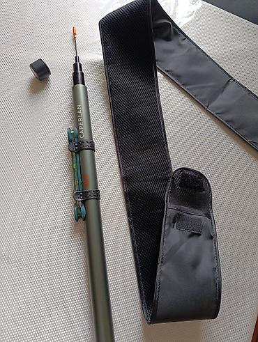 beluga balığı: 🎣 Caperlan LAKESIDE 500 QLF – teleskopik balıqçı qamışı Fransız brendi — 4