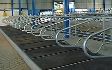 heyvan: Heyvan yatak Heyvan rezin ayaqaltı İnək yatak İri buynuzlu Heyvanlar — 3