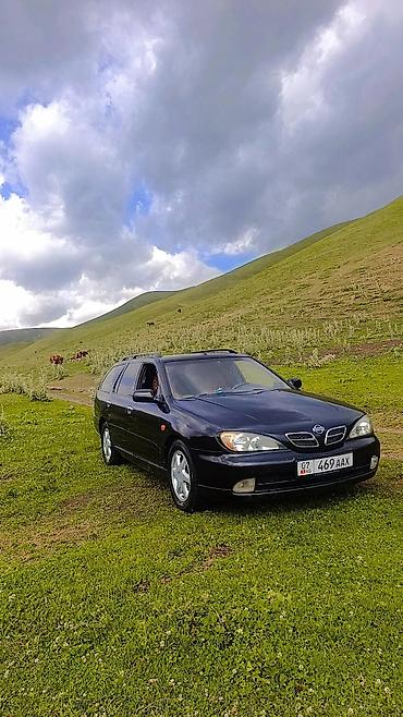 базарить: Nissan Primera: 2001 г., 2 л, Механика, Бензин, Универсал — 1