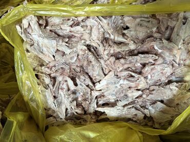 картины натюрморт: Курица :, Платная доставка