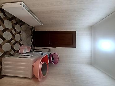 bine savxozda ev: 4 otaqlı, 130 kv. m, Yeni təmirli — 8