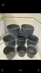 gul sekilleri ekran ucun: Gül və dibçək qabları satılır.Plastik,kauçuk materyaldır.Sayı 50 at lalafo.az gul sekilleri ekran ucun: Gül və dibçək qabları satılır.Plastik,kauçuk materyaldır.Sayı 50