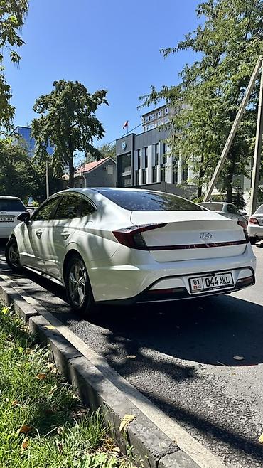 byd e5 2020: Hyundai Sonata: 2020 г., 2 л, Автомат, Газ, Седан — 4