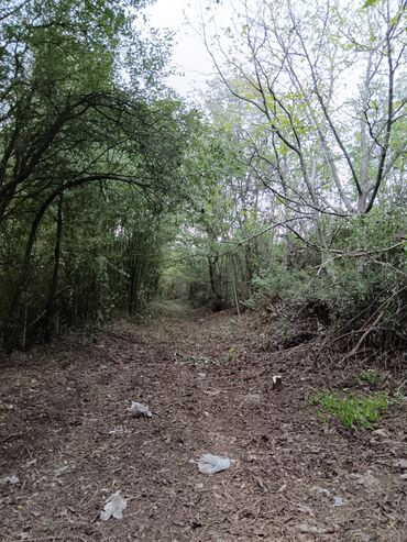Prodaja zemljišta: 58 ares, Poljoprivredno zemljište, Vlasnik — 5