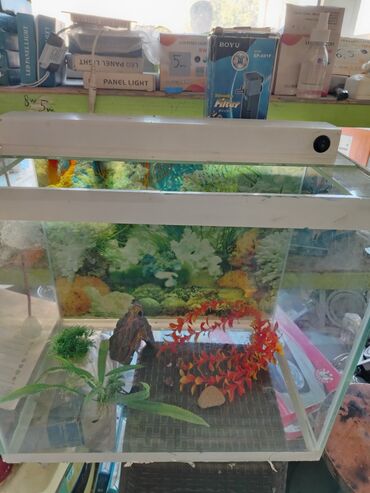 Separatorlar: Akuvarium satılır nagd qiymet 100 azn razılaşmaq olar