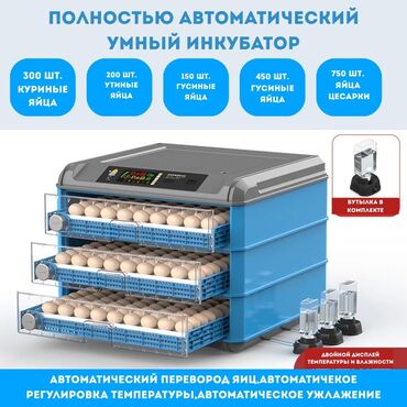 печь для хлеба промышленная цена: 🔹 Толук автоматтык инкубатор 🔹 ✅ Сууга толтуруп текшерилген — бардык