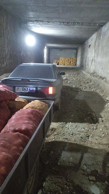 подключение газ: Audi : 1991 г., 2.3 л, Механика, Газ — 9