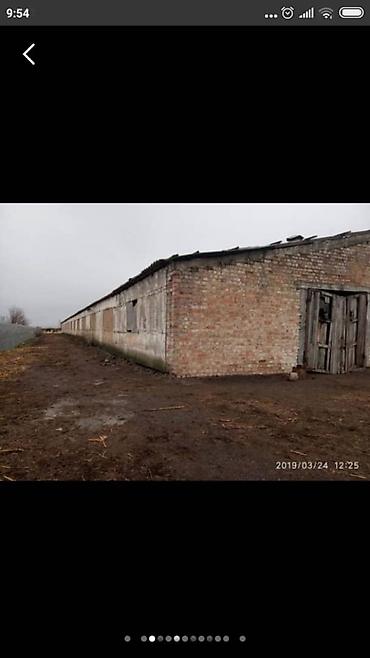 сараи кашары: Птицеферма, 67 соток — 6
