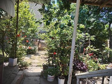 bilgəh bağ evləri: Mingeçevir şəhəri həyət evi satılır. Ünvan H. Z. TAĞIYEV Ev 28(keçmiş — 8