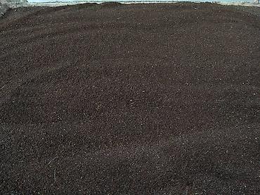 Сирень: Продаю саженцы. Сажать и пересаживать нижеперечисленное нужно весной — 21