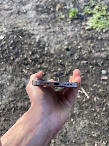 Apple iPhone: IPhone 16 Pro Max, Б/у, 256 ГБ, Desert Titanium, Чехол, 92 % — 9