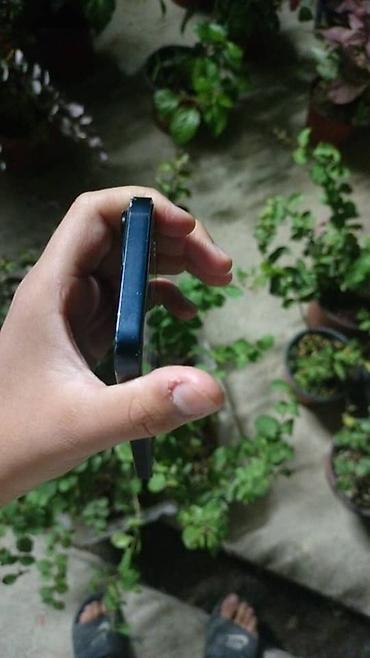 кел кел: IPhone 13, Колдонулган, 128 ГБ, Көк, Коргоочу айнек, Каптама, 81 % — 5