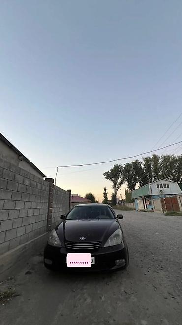 лх 300: Lexus ES: 2004 г., 0.3 л, Автомат, Газ, Седан — 5
