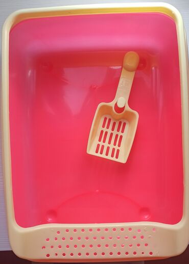 Pişiklər: Erkək, Dişi -da lalafo.az — 15 Pişiklər: Erkək, Dişi — 15