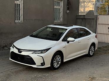сиденье на рекс: Toyota Corolla: 2022 г., 1.8 л, Вариатор, Гибрид, Седан — 1
