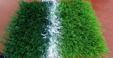 трава: Газон исскуственный/ трава для футбольных полей, площадок высота ворса