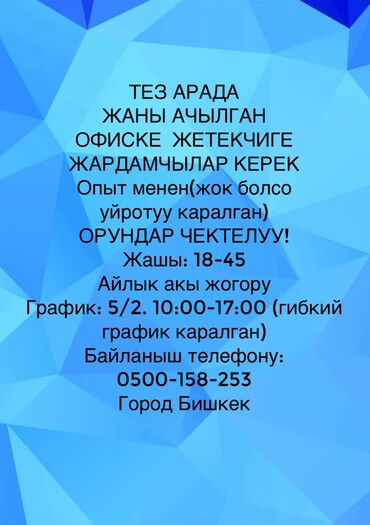 ищу работа в оше: Башка адистиктер