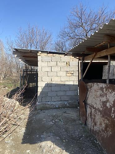 Продажа дач: Продаётся дом с участком. - Одноэтажный дом из кирпича с — 28