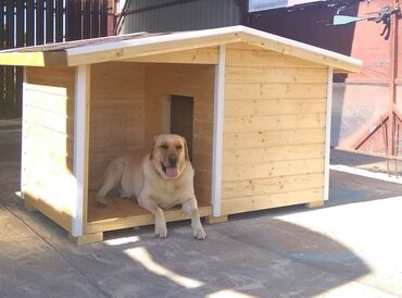 Зоотовары: Домик для собак Будка для собак. вальер для собак. У нас всегда в at lalafo.kg — 17 Зоотовары: Домик для собак Будка для собак. вальер для собак. У нас всегда в — 17