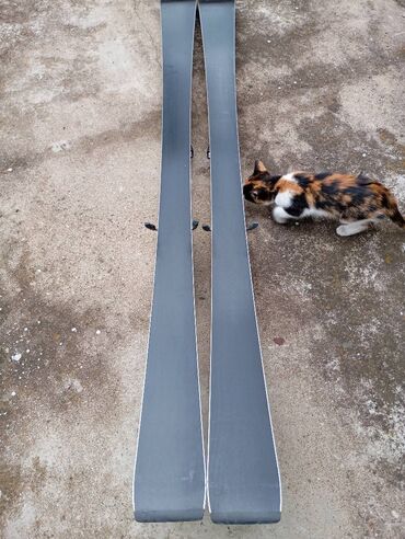 Oprema za skijanje: Head SUPERSHAPE E-MAGNUM ERA 3.0 S 163 cm 2025g Vrhunske Skije Head e na lalafo.rs — 5 Oprema za skijanje: Head SUPERSHAPE E-MAGNUM ERA 3.0 S 163 cm 2025g Vrhunske Skije Head e — 5