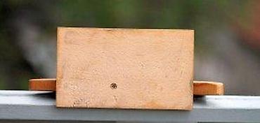 Značke, ordenje i medalje: RIBA, drveni trofej. Drveni trofej u obliku ribe sa takmičenja na Tisi — 12