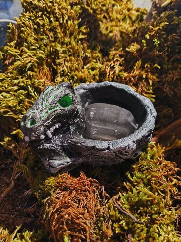 Зоотовары: 🌿 Украшения и декорации для аквариумов и террариумов 🌿 Продаю — 5